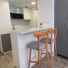 Moderno monoambiente Plaza Mitre