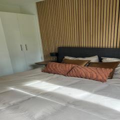 Elegant Holiday Home for 12 guest,Ulicoten