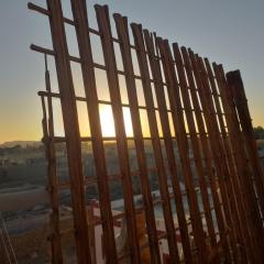 Mourad morsy مراد