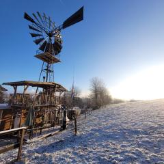 Schäferwagen mit Dachterrasse an der Pferdekoppel