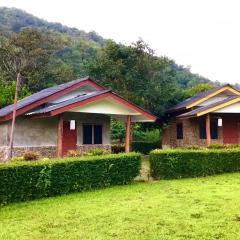 Doi Lom Elephant farmstay
