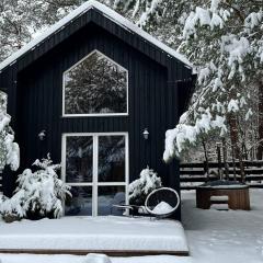Domki Wśród Boru Sosnowego, Śródborze