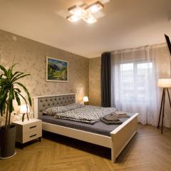Prestige Apartament near thermal pool