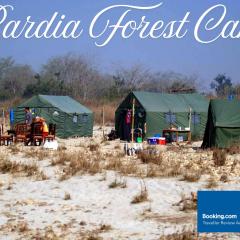 Bardia Forest Camp