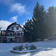 Dzikie Historie Młynik