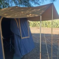 Kalkgat Avontuurplaas - Furnished Tent