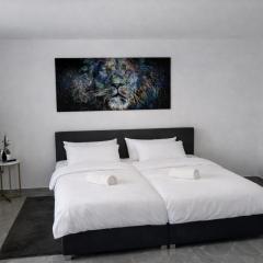 Exklusive Moderne Wohnung Hanau