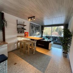 L'appart de Serre Che