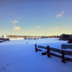Ferienwohnung Waldlichtung