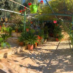 بيت الطبيعة nature house