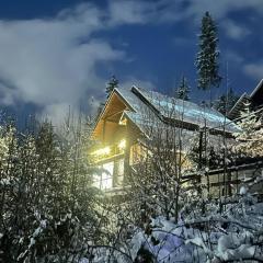 Chalet Shepit Karpat