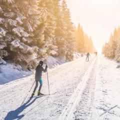 Domki Mazurskie w Ogrodach Złotej Łani Wiartel - Klimatyczne Apartamenty i Pokoje Widokowe