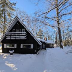 Loon Landing in Lake Tomahawk WI