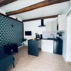 Charmant studio dans le vignoble proche Strasbourg