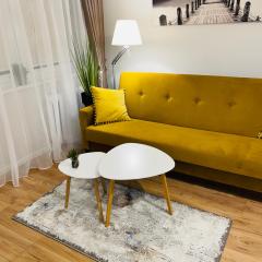 Apartament Toruń Orbita free parking