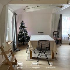 Les baleines - hypercentre 2 chambres avec garage et clim - air conditioning