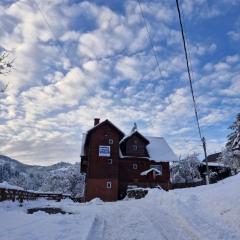 Pensiunea Cabana Viselor ,Apuseni