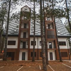 Apartman Gorska Vila - Divcibare