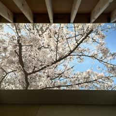 Le Cave Troll ル カーブ トロル