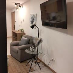 Modern studio with balcony view and private parking