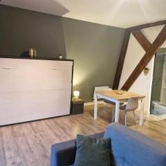 Au coeur des remparts, residence du château*