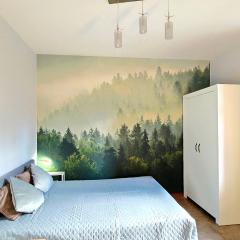 Józefina Apartament's blisko centrum