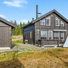 Magiske Vinterdage I Sjusjøen