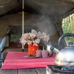 WA Wilderness Camping Experience