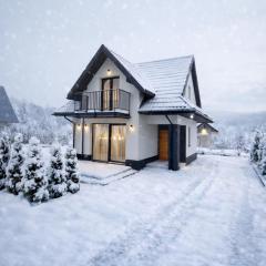 Markowicz Alpine House