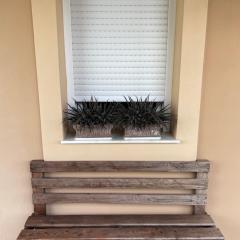 Olive Grove Family Home