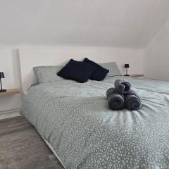 Vom Hohnsen in die Innenstadt City meets nature