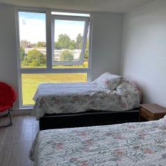 Studio Pet Friendly en Isla Teja, Valdivia