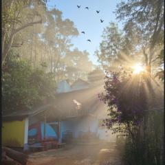 munnar Green portico Cottage MuNnAr #MUNNAR #Parking # campfire # brackfast #best budget COTTAGE MUNNAR