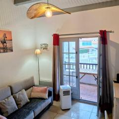 Spacieux appartement tout confort proche plage et centre ville Wifi Animaux bienvenus