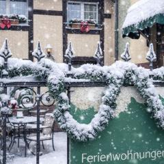 Hübsche Unterkunft mit Parkplatz in Bad Muskau Nähe Schloss, Waldeisenbahn, Hermansbad, UNESCO Geopark, Nähe polnischer Markt, Top Lage für Ausflugsziele zum Wandern oder Radfahren