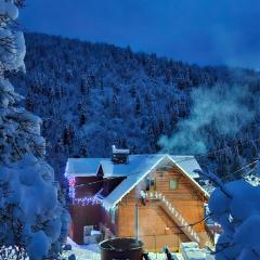 Pensiunea Cabana Viselor ,Apuseni