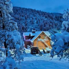 Pensiunea Cabana Viselor ,Apuseni