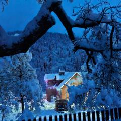 Pensiunea Cabana Viselor ,Apuseni