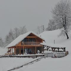 Cabana de sub mesteceni