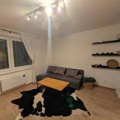 Apartmán v Korytnici