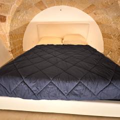 The Luxurious Tiny House