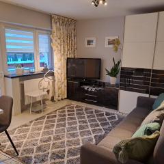 Silver Apartament, Kowary