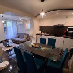 apartement st junien 1