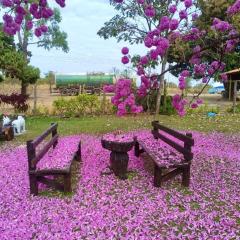 Village Anisia sitio proximo a Sete Lagoas