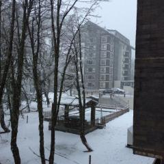 Departamento Termas de Chillan