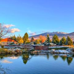 Amenity Penzion Horni Vestonice