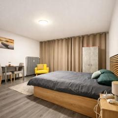 Studio élégant TOP 1 Centre St-Louis Proche Bâle, Parking Gratuit