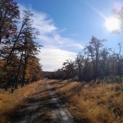 Refugio Del Bosque Cabañas