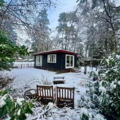 Kindvriendelijk sfeervol vakantiehuis Bosgeneugte bij zwembad op de Veluwe