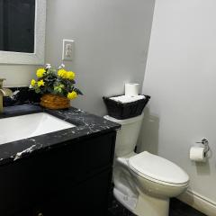 Prime Location 3Bedrooms, 2 Bath, Basement Apartment with free parking- Streetsville Area, Close to Transit